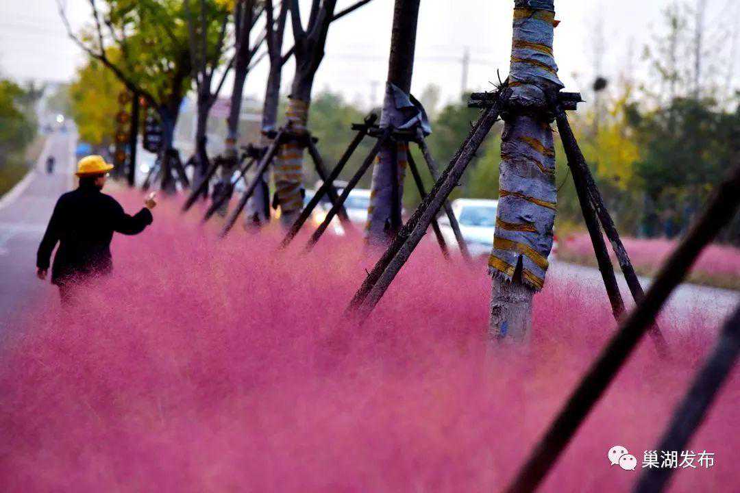 今日立冬｜巢湖天气晴好依旧，11日开始降温