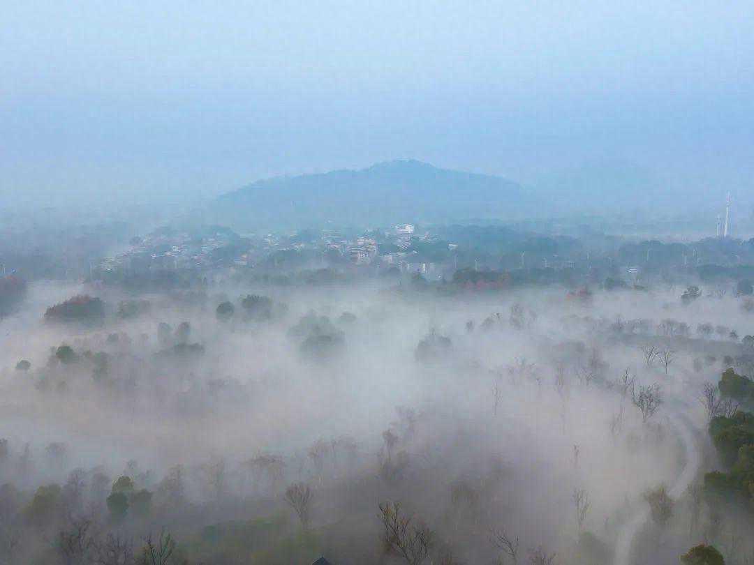 -5℃！南通气象最新发布