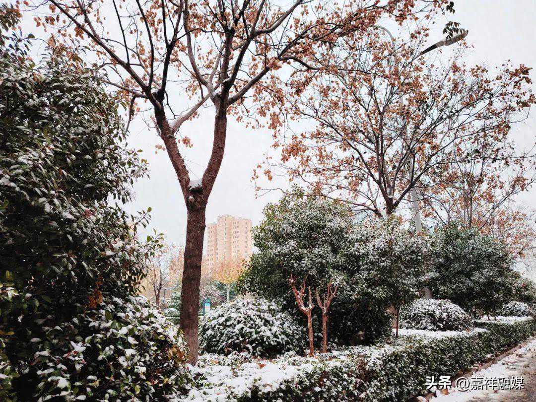 一觉醒来，嘉祥下雪了！