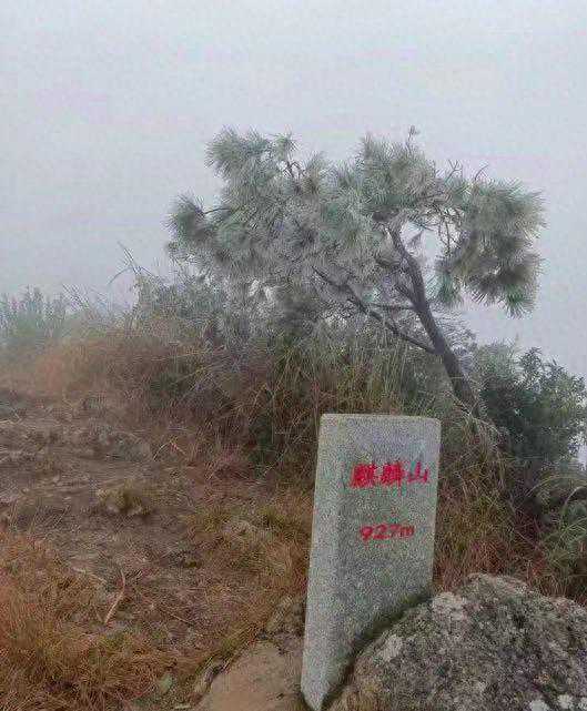 封开迎来“第一场雪”，肇庆本周天气如何？