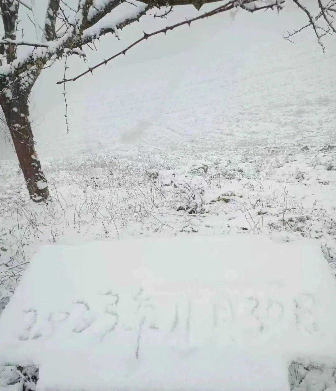 房县多地下！雪！啦！