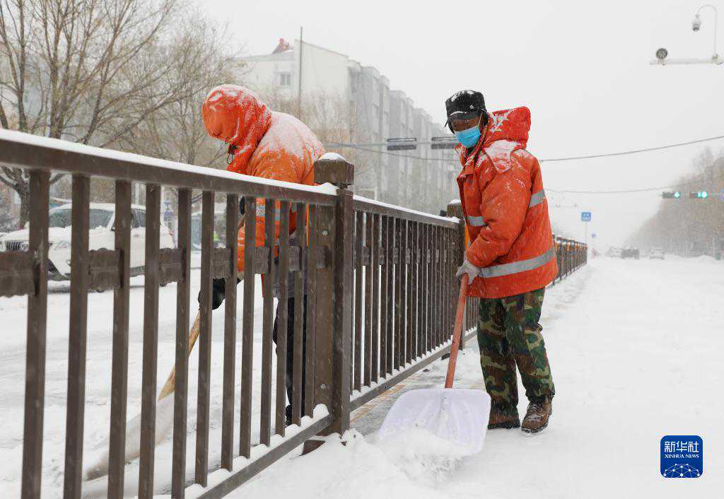 河北张家口坝上地区普降中到大雪