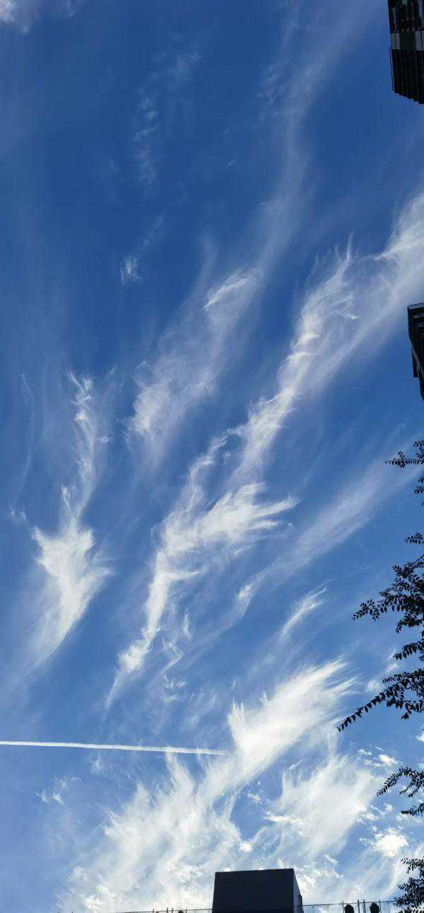 及时添衣！十月底多地最高气温不足20℃→