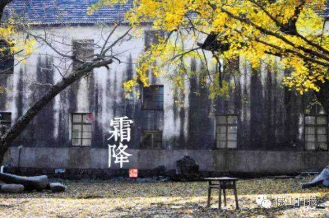 据说佛山将面临大面积降温？实际到货的，可能是雾霾！