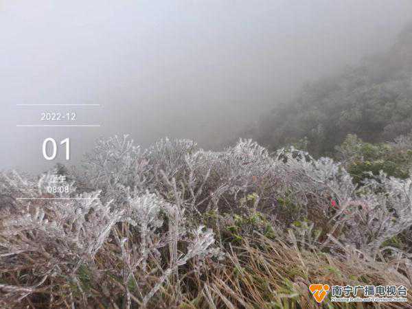 南宁“一夜入冬”有多冷？广西大明山上已经结冰了