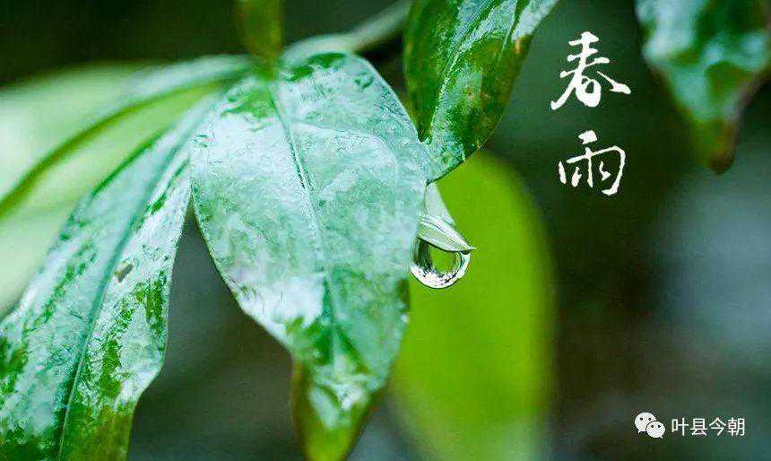 【提醒】大风！降温！叶县天气有大变化，请及时添衣