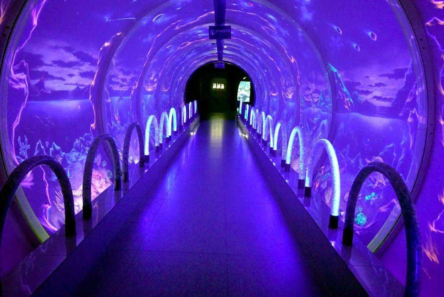 冬季旅游必去景点 北海海洋之窗旅游攻略 低音号导游