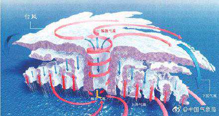 台风的结构，了解一下？