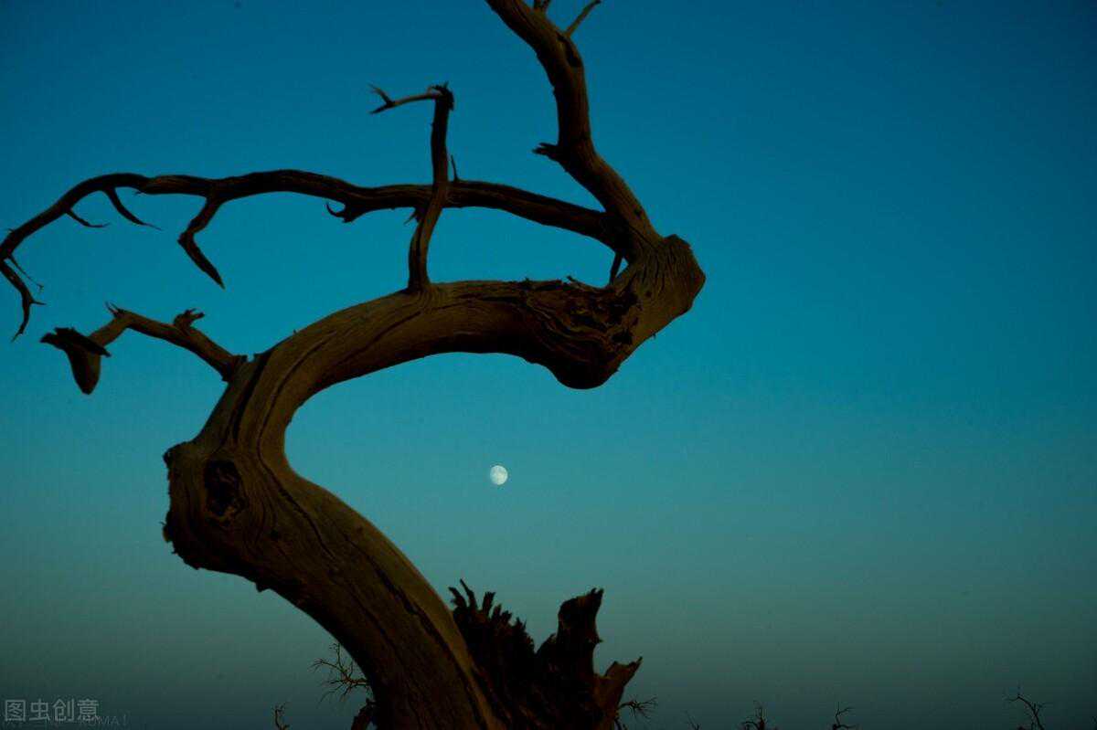 庄子思想的宗教感