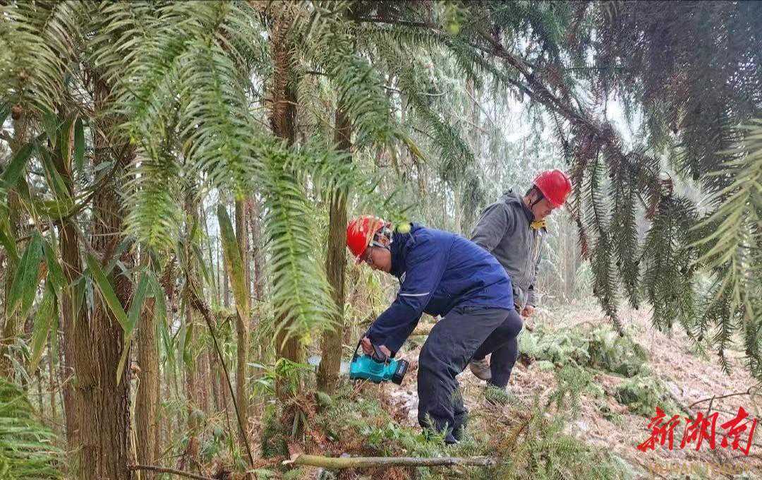 衡东：多措并举应对新一轮雨雪冰冻天气