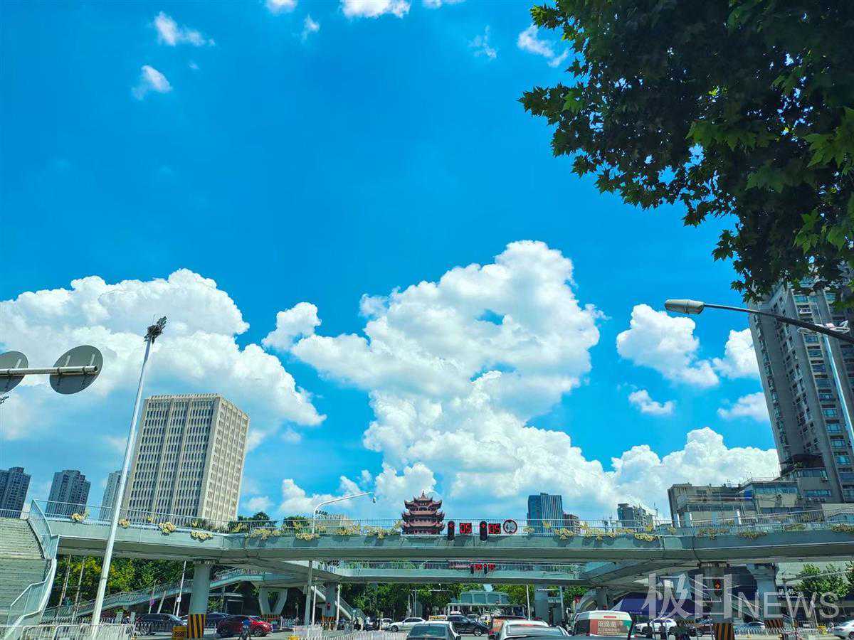 人生忽如寄，莫负好天气！暑热在发力，凉爽已可期