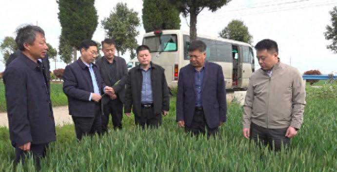 南阳市政府副市长刘江到内乡县实地调研