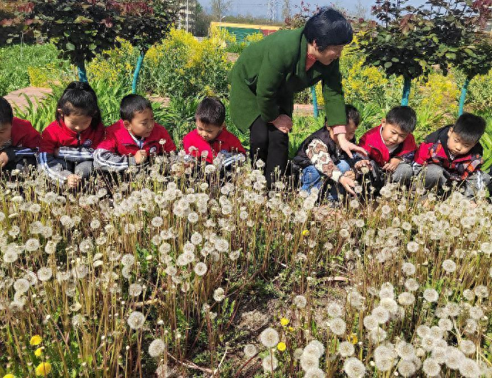 河南内乡：家长开放日参观中医药实验基地传承中医药文化