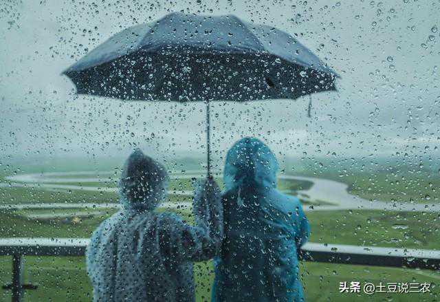 紧急更新:清明节寒流来袭！降雪暴雨覆盖区域一览，冻死鹅！