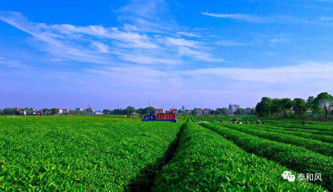 未来几天泰和县强降雨暂歇 仍需防范局地强对流