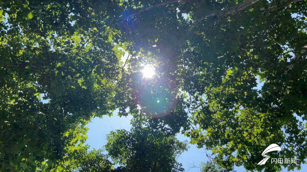 沾化高达41.7℃！山东多地发布80多个高温预警 高温天气将持续到27日