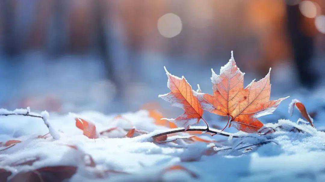 【廊廊报天气】冻哭预警！未来请做好冷一周的准备！