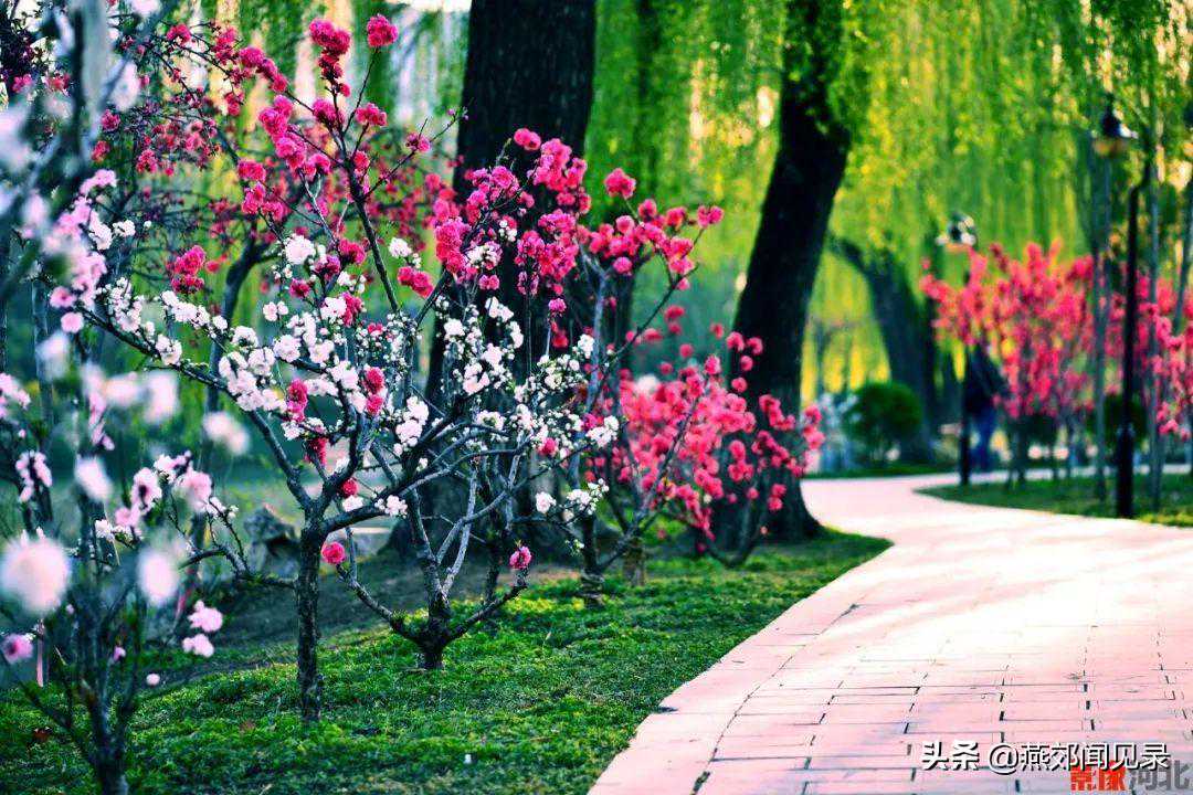 燕郊又双叒叕大风降温！中雨、雷阵雨！三河迎大范围雷雨！