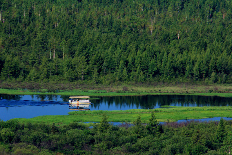 「有个地方只有我们知道」伊春乌伊岭，一个湿地与玛瑙齐“飞”的地方！