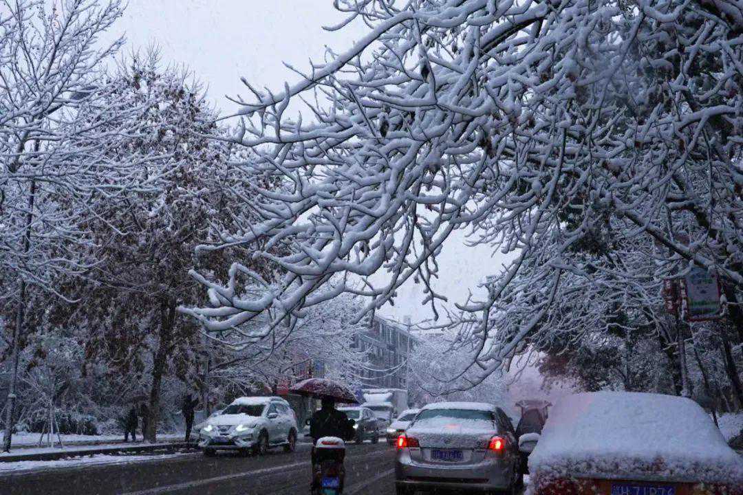 紧急通知：因天气原因，乐平市各小学停课一天！城乡公交及部分班线停运！