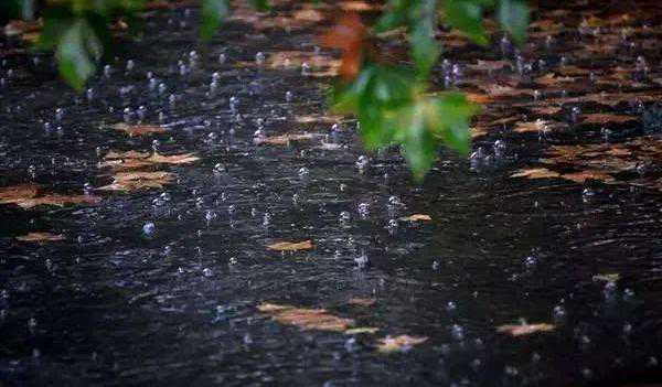 猛降10℃！两波冷空气即将抵达！余杭天气大转折......