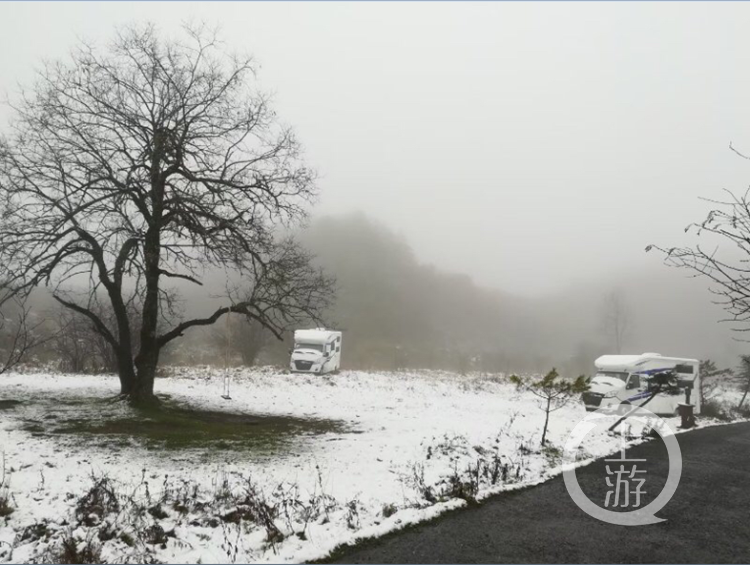 天气预报丨城口一夜入冬漫天飞雪 主城未来三天气温最高19℃