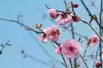 小伙伴们，脱下的厚衣服又要穿起来了！未来一周宜城或现雨雪飘飘