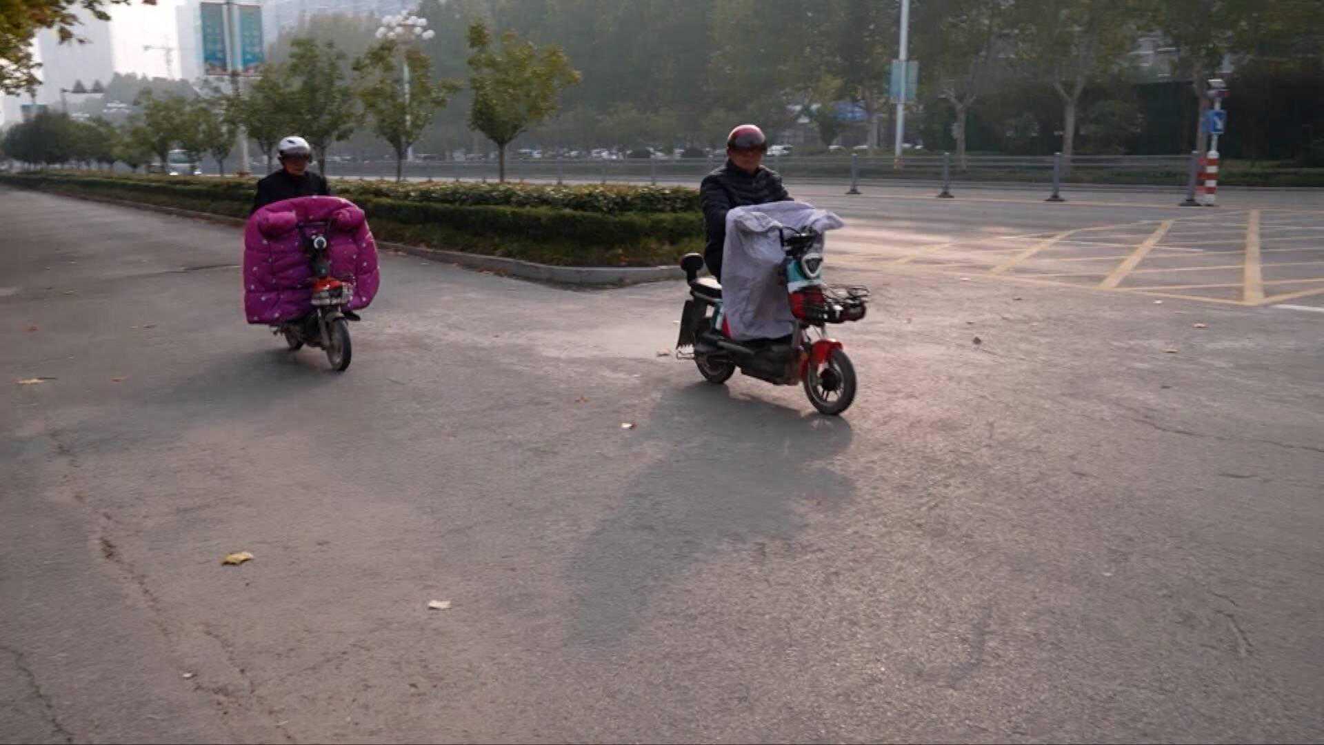 菏泽定陶：大风降温天气来袭 农技专家支招小麦安全越冬