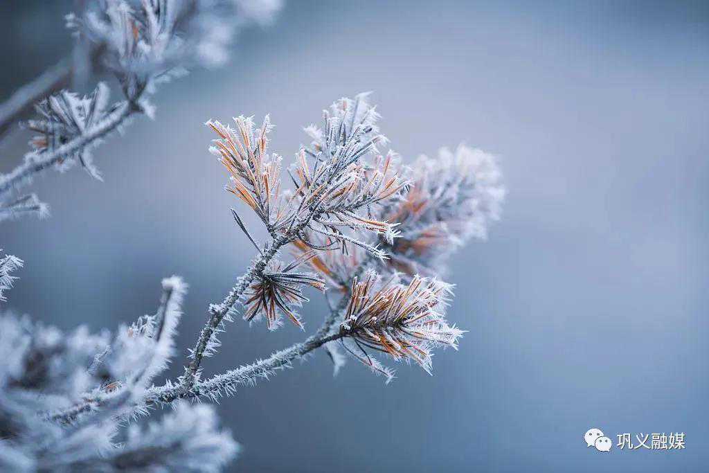—11℃！巩义发布重要天气预报！最难熬的一个月来了...