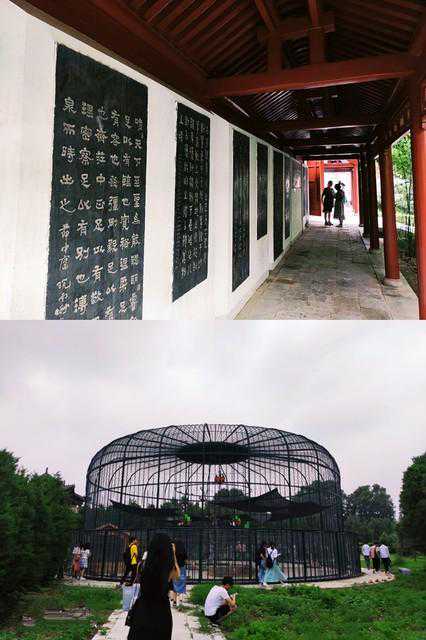 【周口最新天气预报】河南周口2023年11月28号星期二