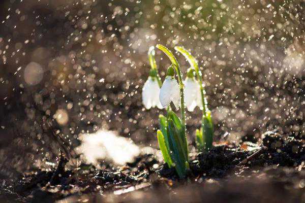 冷空气来了！河北未来三天雨雨雨，最新预报→