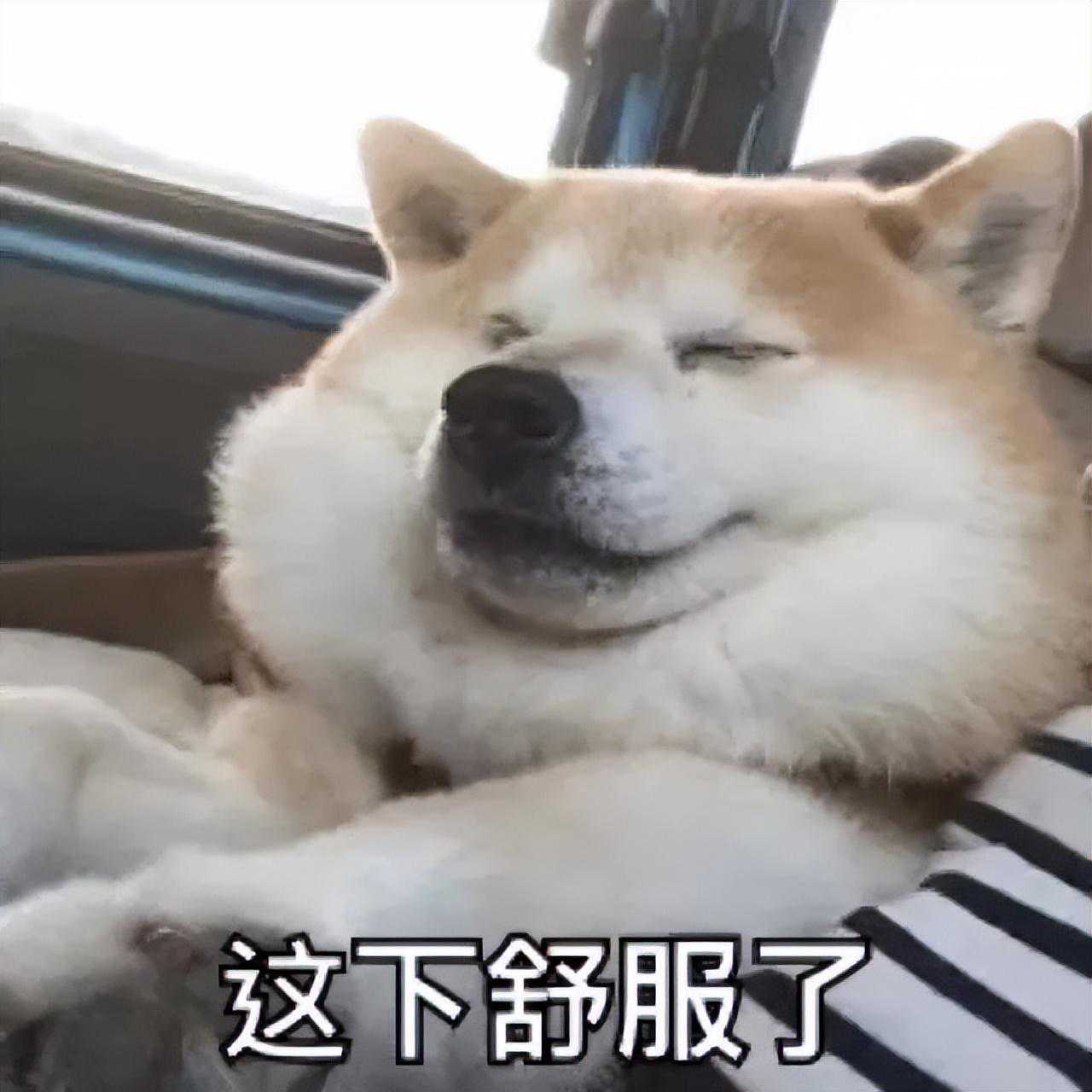 安义气象最新预报! 温度暴跌！降温、降水、雨雪即将轮番上阵→