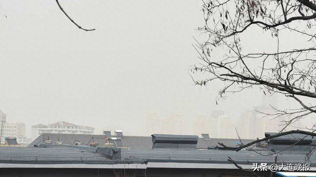 大风浮尘！注意防护！大连最新发布