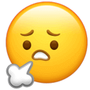 下降8～10℃！安康发布重要天气报告！