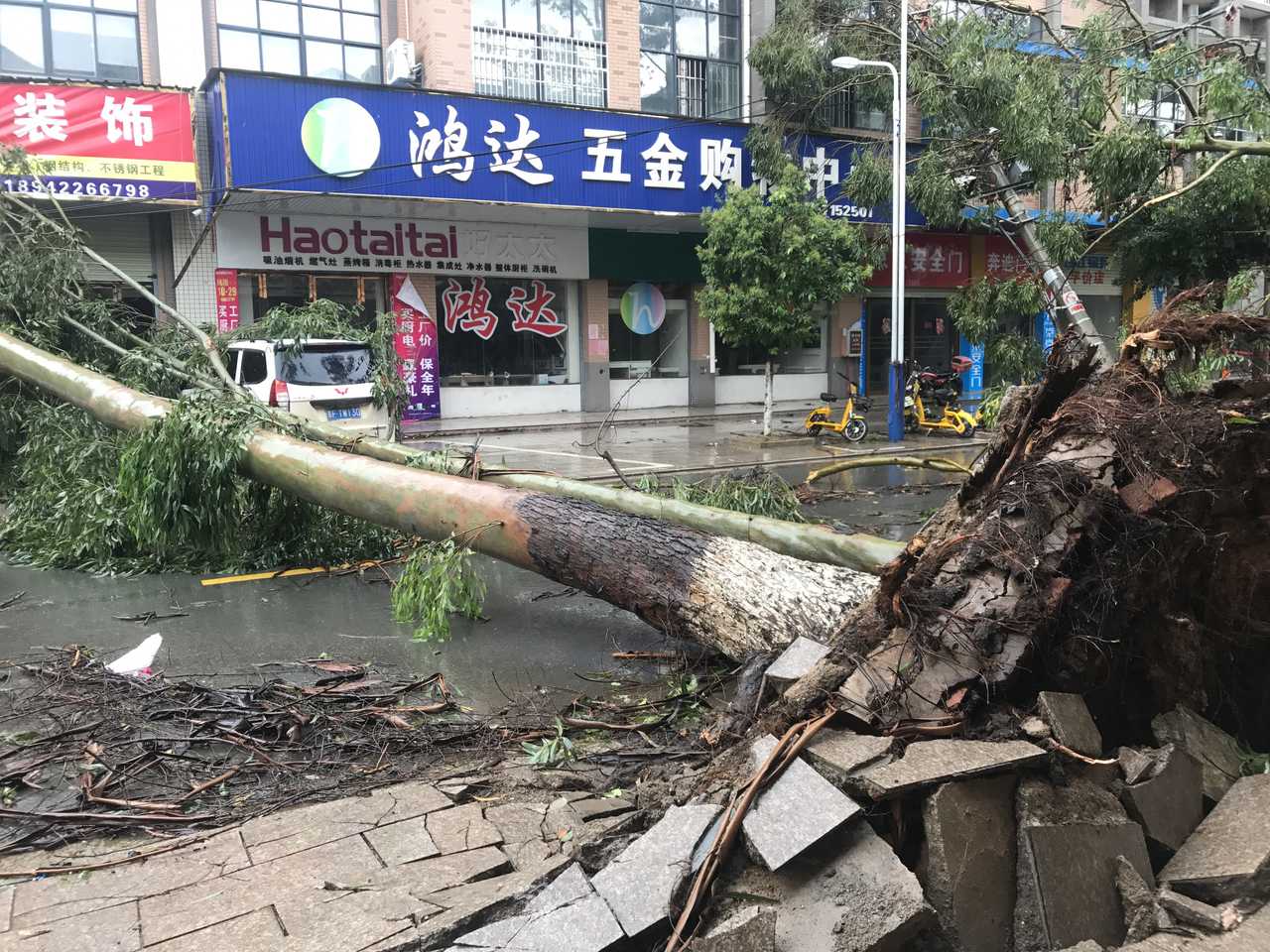 江西定南遭遇强对流天气瞬时风力11级，居民：树被连根拔起