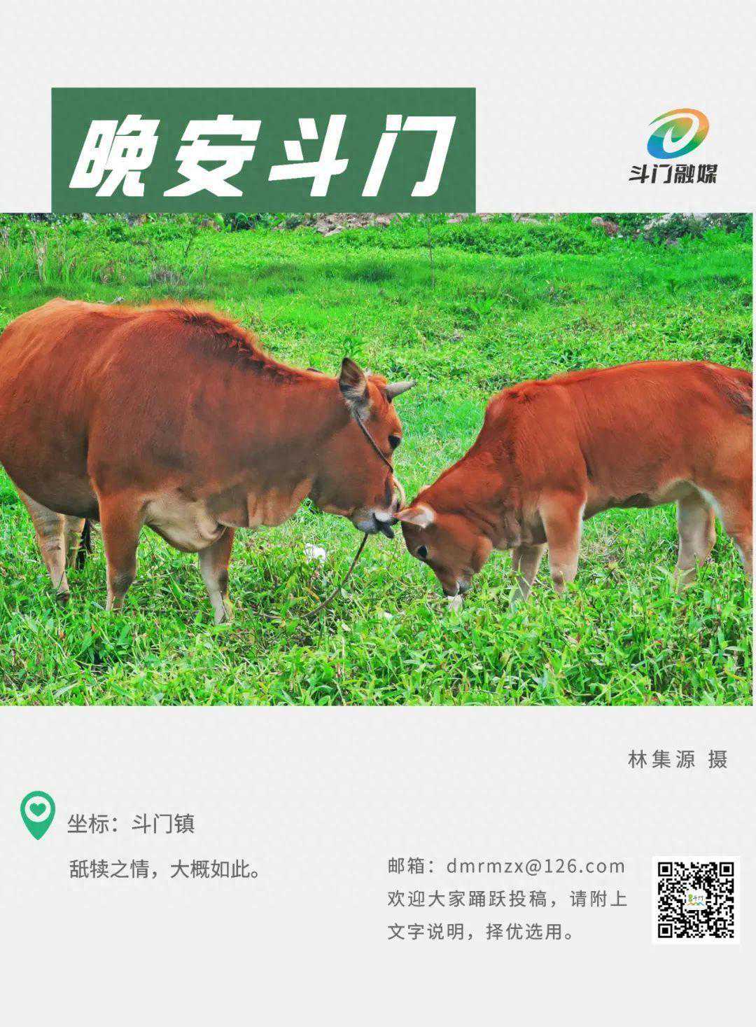 实施管制！为期6天！涉邻近多条路段…｜晚安斗门