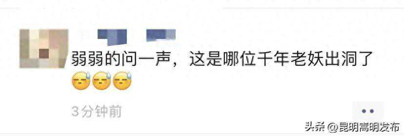 刚刚！一秒天黑！狂风大作！昆明这波雨来得太猛……