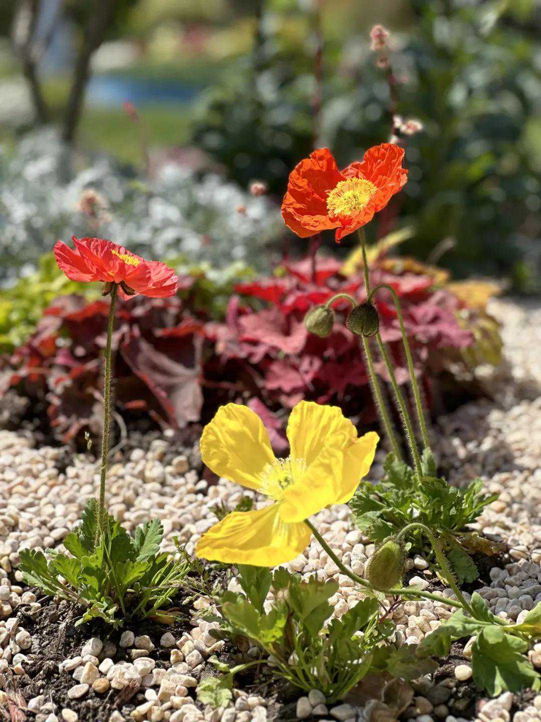 无锡直冲20℃！接下来 有望…