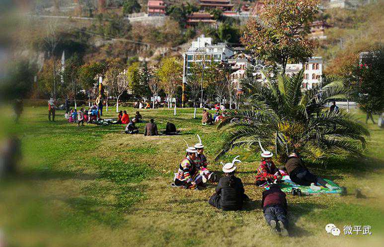 寻乡·觅趣｜平武迎来断崖式降温，于皑皑白雪中，来一次冰雪之旅！