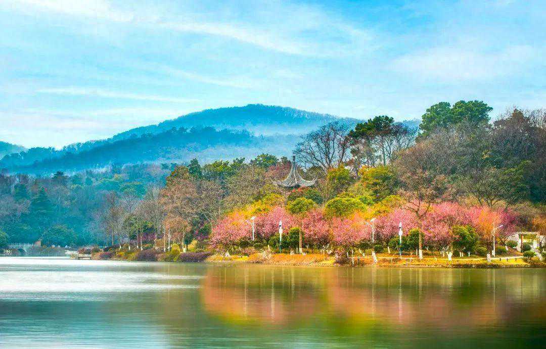 最高20℃！浦口入春时间......