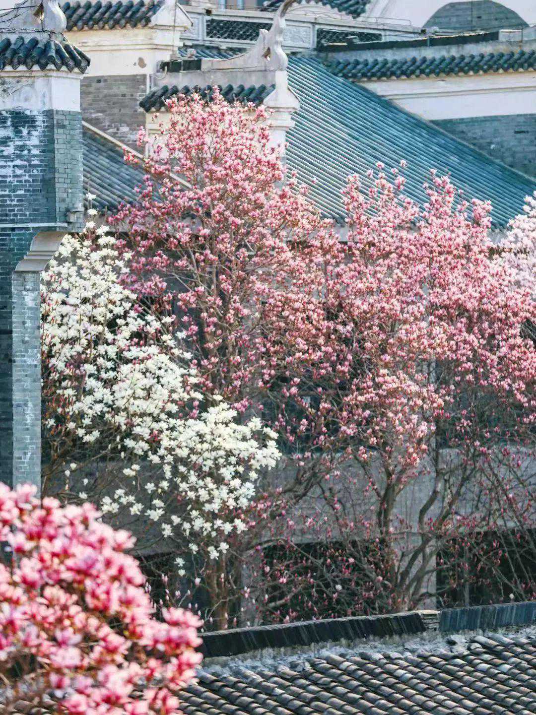 跌至5℃！中雨+7级阵风马上到