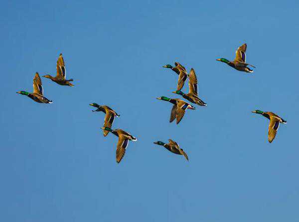 沈阳明天有雨！大风、扬沙、浮尘……雨后气温骤降！