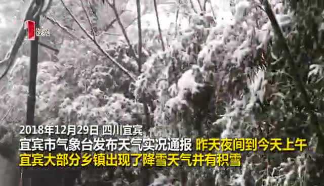 安排上了！宜宾最低温-3.2℃多地下雪，市民纷纷上山赏雪玩雪