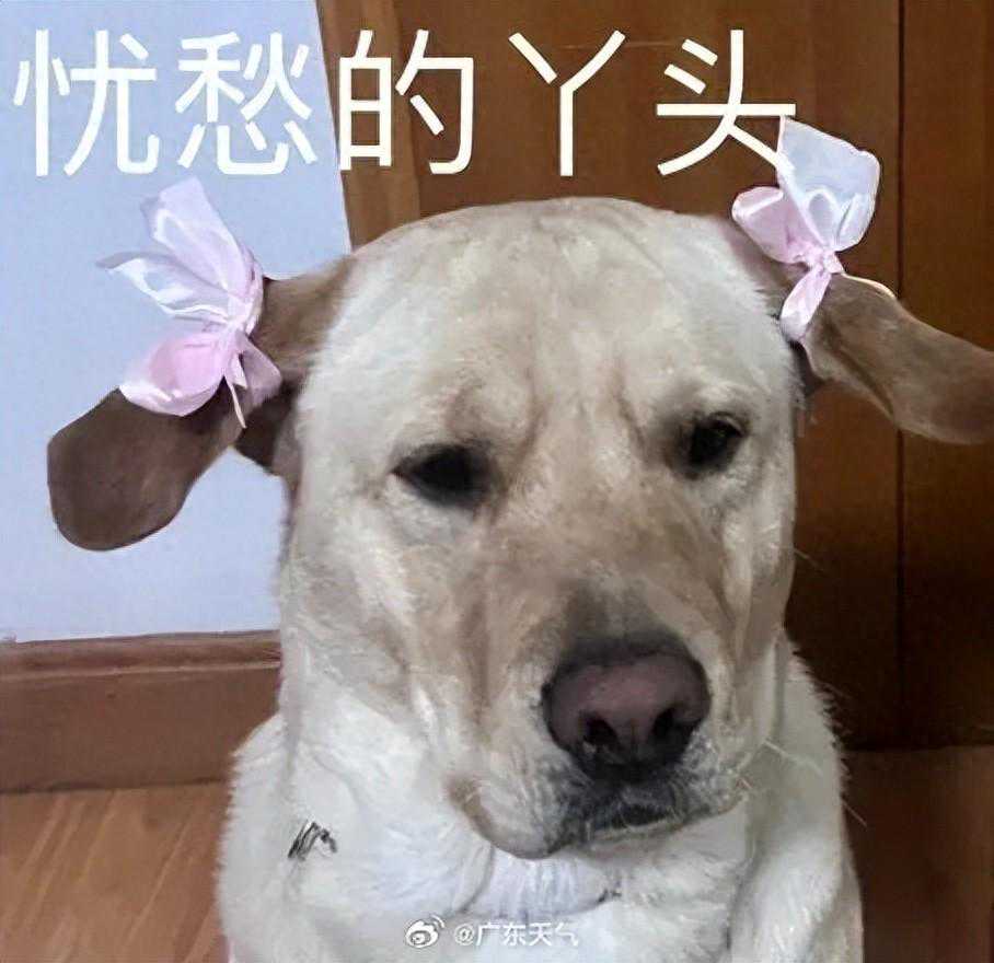 扩散！强寒潮杀到！番禺气温将降至14℃？！未来一周天气将...