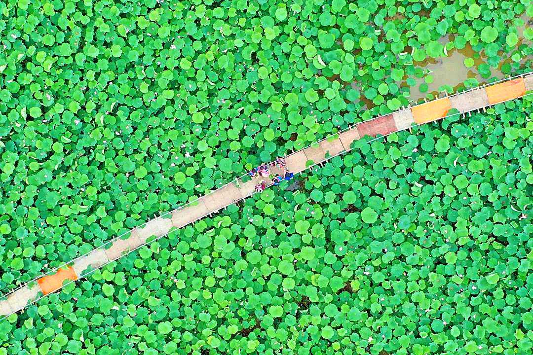 暑假打卡普者黑，狂欢花脸节，激情打水仗！错过只有等来年