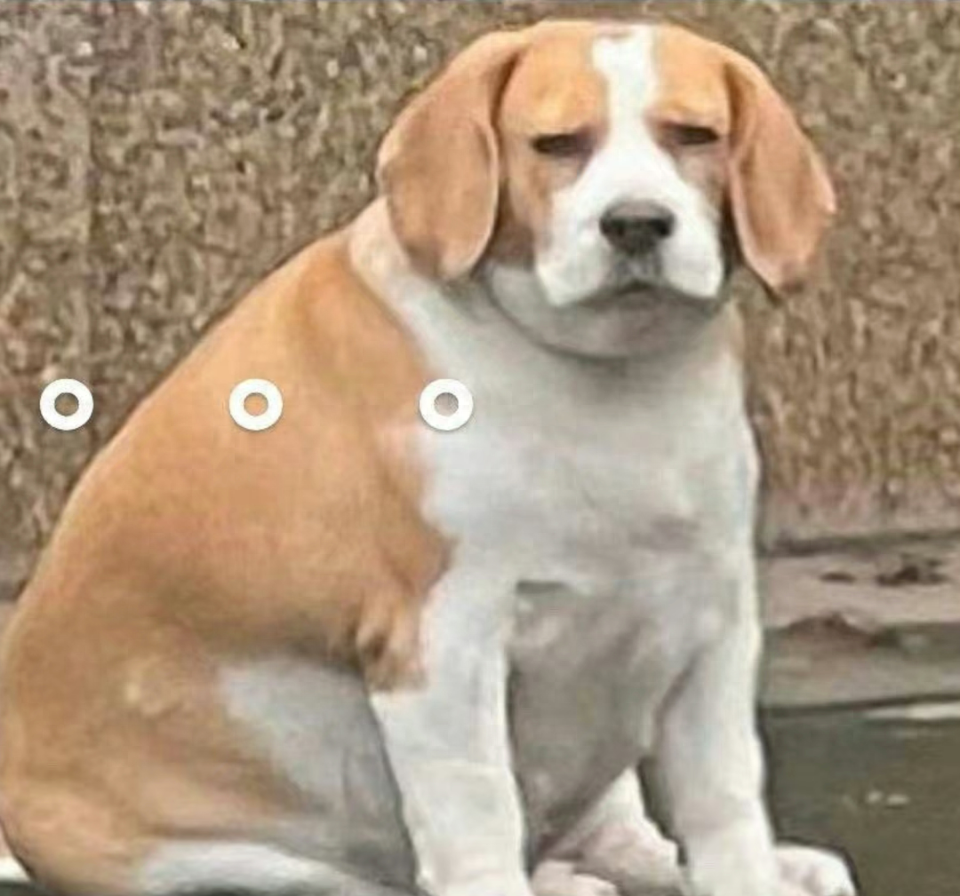 直逼30℃！部分地区暴雨！九江天气反转又反转