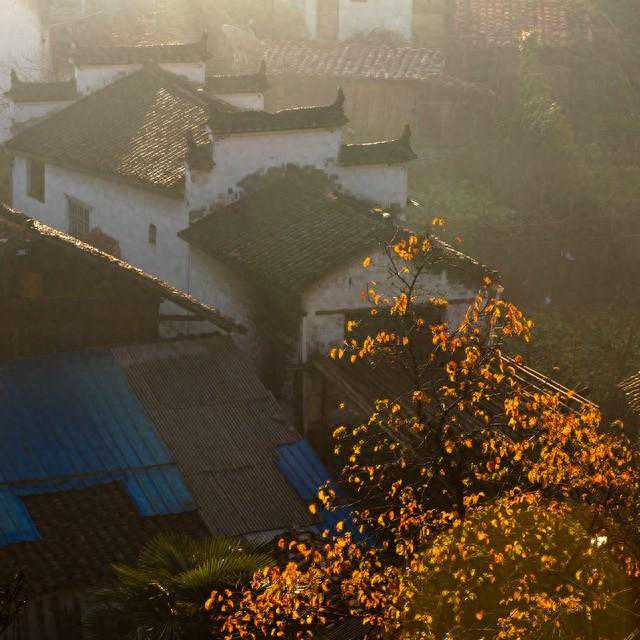 【上饶最新天气】江西上饶2023年10月22号星期日独家报道