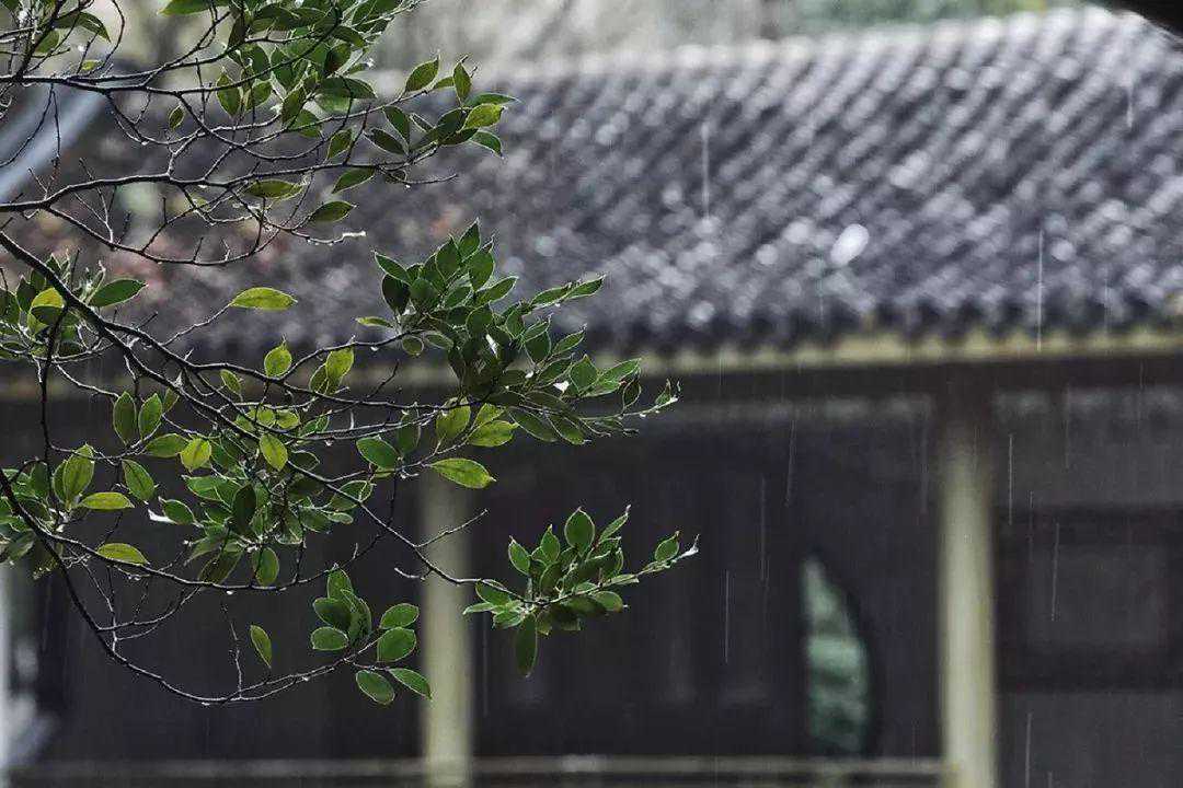 刚刚，浦东气象台发布天气提醒：今天下午到明天早晨有大到暴雨！伴雷电！
