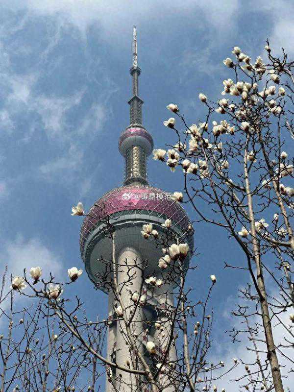 注意：上海天气即将有变！雨水又来，要下多久？最新提醒：入春还有悬念……