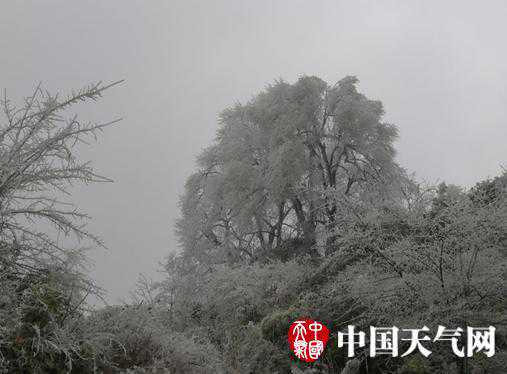 文山丘北强冷空气过境处处留景 11日起气温将缓慢回升